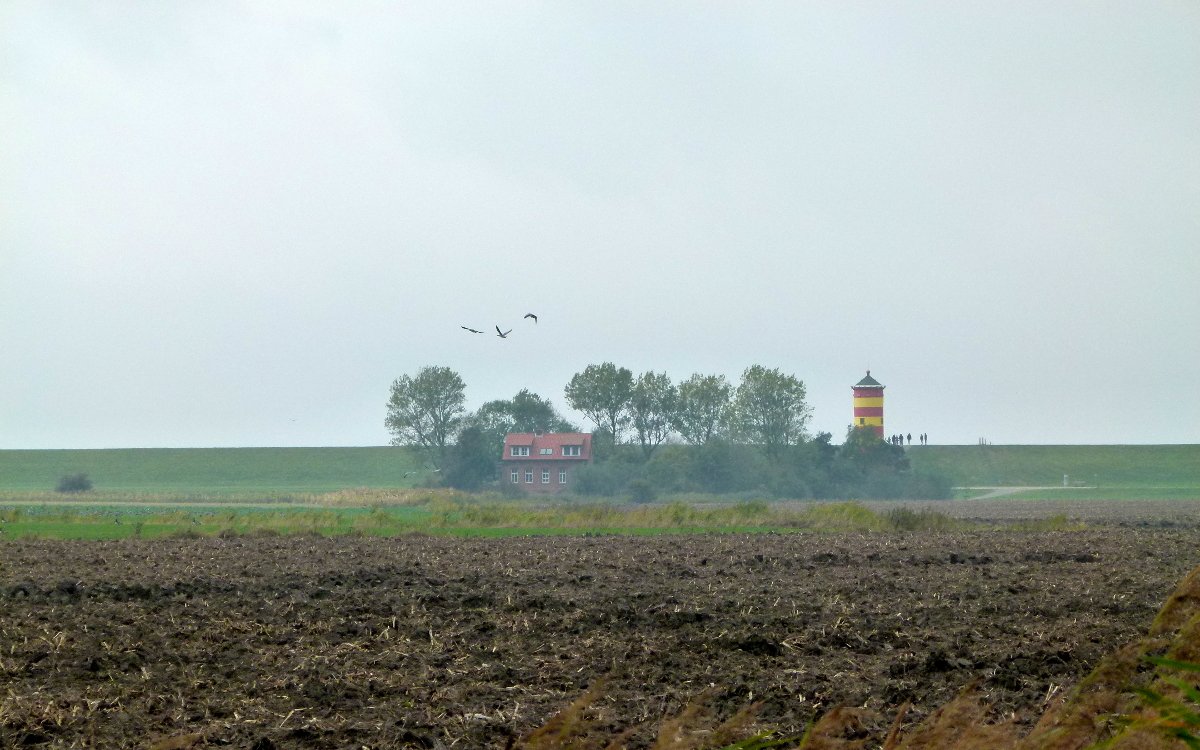 Phare Pilsumer Leuchtturm : Krummhoern - Visites & Activités