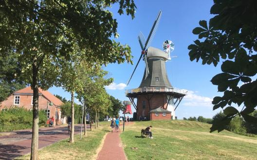 Die Zwillingsmühlen in Greetsiel