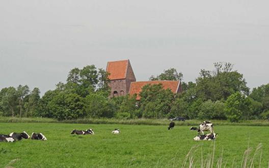 Die Kirche in Suurhusen ist schon von weitem gut sichtbar